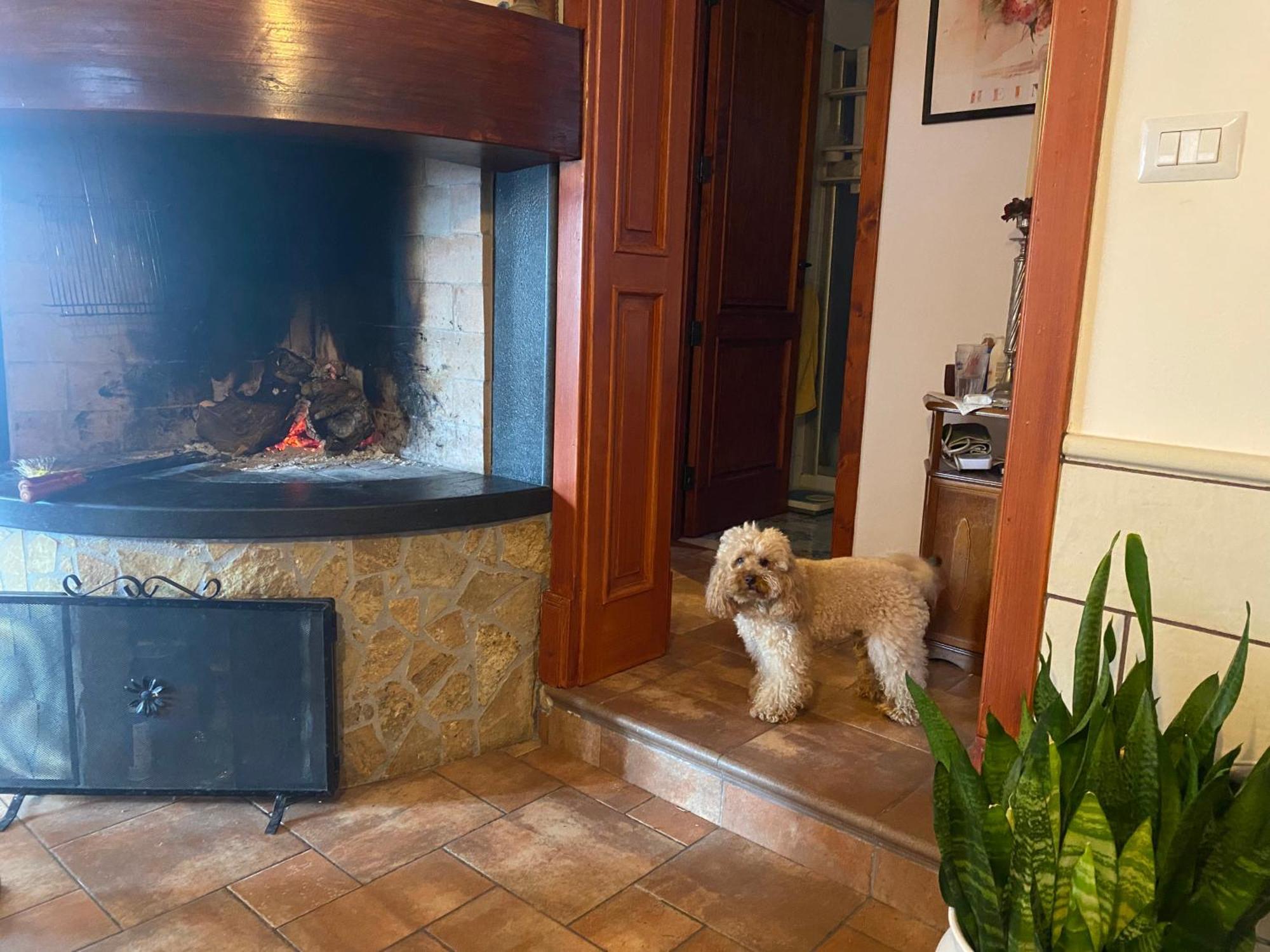 Masseria Tre Archi & Apulia Relais Gentiluomo Pokoj fotografie